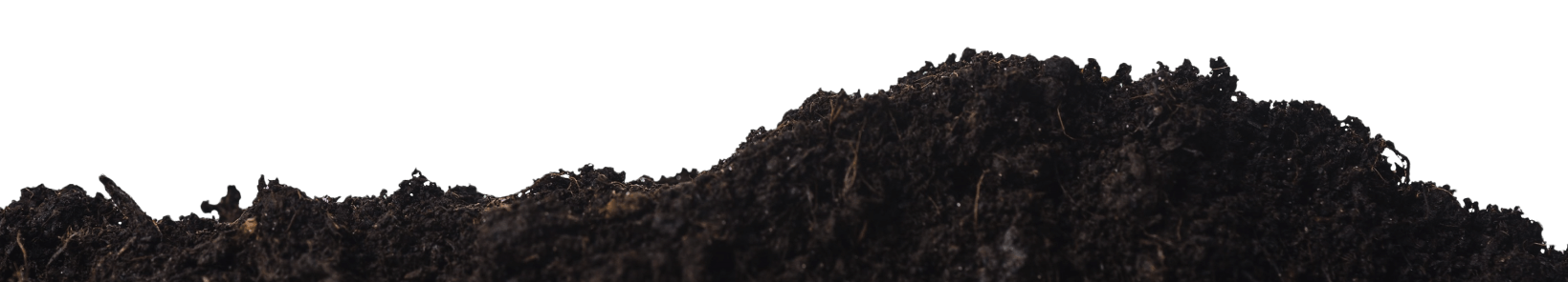 ground