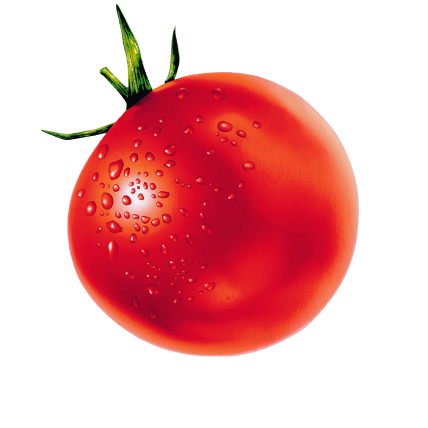 tomato